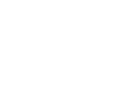 Spanish Air and Space Force emblem